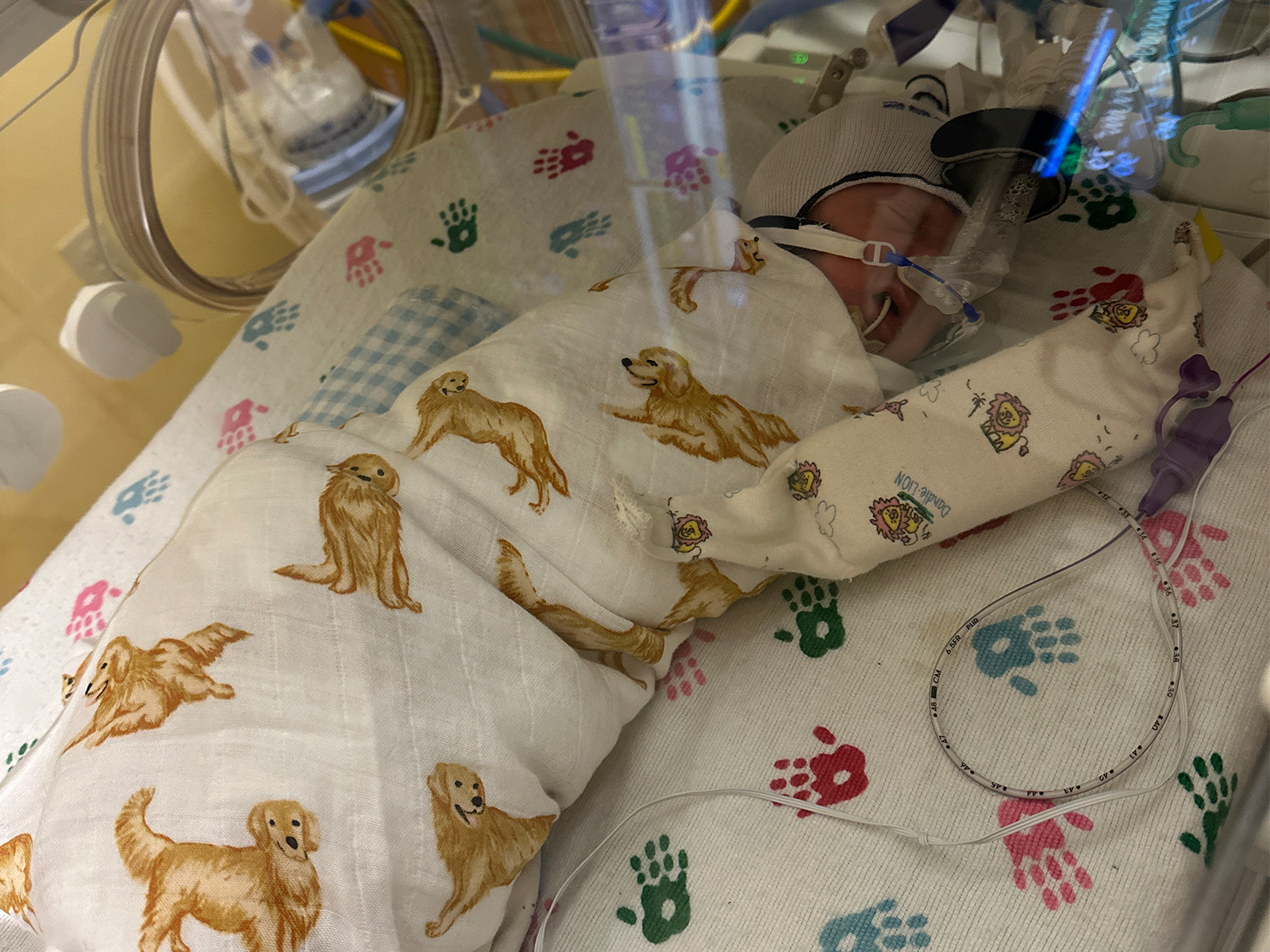 A parent beside a NICU isolette